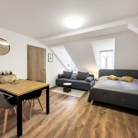 Apartment Katrin 1 卡罗维发利 外观 照片